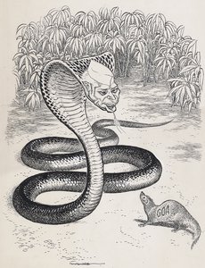 JUNGLE BOOK "I am Nehru," said the Cobra. "Look, and be afraid."