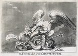 The Vulture of the Constitution Image.