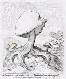 An Excrescence, a Fungus, alias a Toadstool upon a Dunghill. Image.