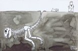 Dinosaur Bone Image.