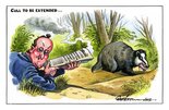 Cull to be extended... Image.