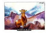 Monarch of the glen Image.