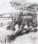 Turned out to pasture! Image.