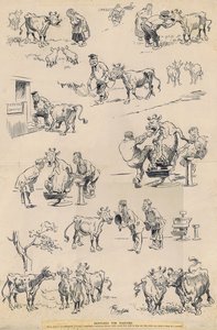 DENTURES FOR DAISYSKI. When cows in Voroshilovgrad (U.S.S.R.) contracted a mysterious disease which caused their teeth to drop out,  false teeth were fitted to them by a dentist."