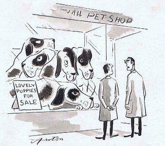 "Don't you think it's about time you changed the window display Baxter?"