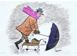 Fred Basset out for a walk in the rain Image.