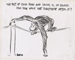 The test of good food and drink is, of course, can you walk the tightrope after it? Image.