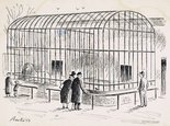 "Surely they should fit this cage with smaller mesh." Image.