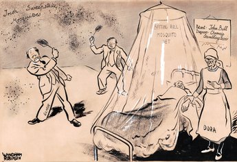 The anti-malaria campaign begins.