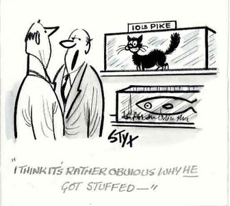 "I think it's rather obvious why he got stuffed - "