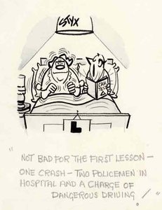 "Not bad for the first lesson - one crash - two policemen in hospital and a charge of dangerous driving!"