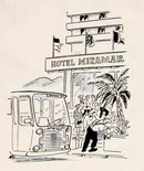 The hotel's fine lad. It's these geraniums that I don't like the look of." Image.