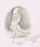 The cockatoo Image.