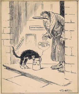 A meeting of the Royal Sanitary Institute in Birmingham afforded an opportunity for an instructive discussion on town and country milk supplies and what is needed for their improvement.